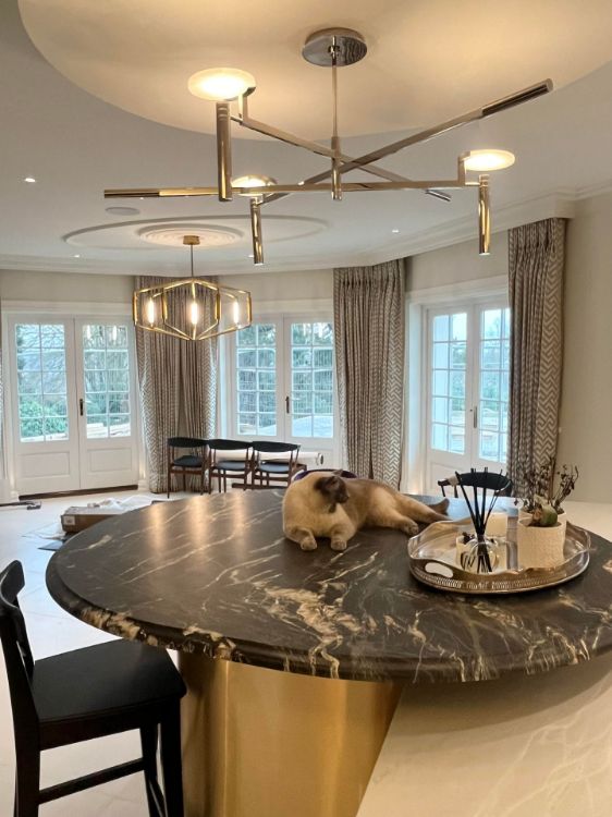Picture of Melange Large Floating Disc Chandelier in Polished Nickel with Alabaster