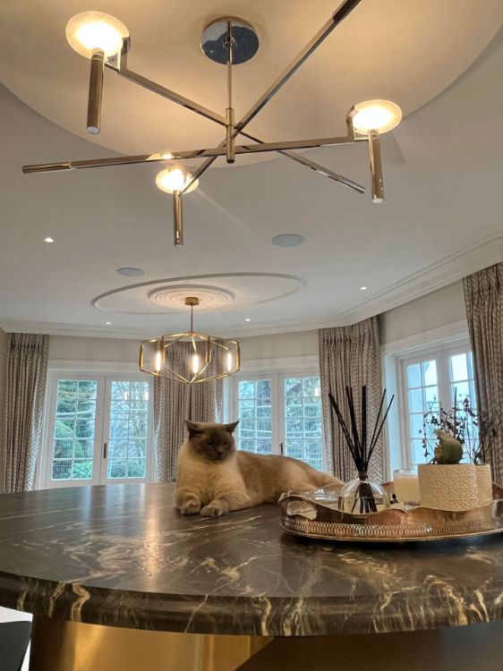 Picture of Melange Large Floating Disc Chandelier in Polished Nickel with Alabaster