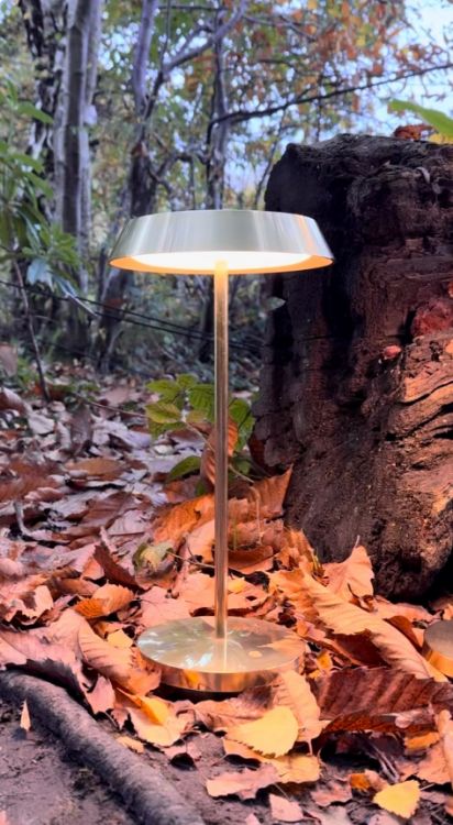 Picture of Tepa Accent Outdoor Rechargeable Lamp in Natural Brass