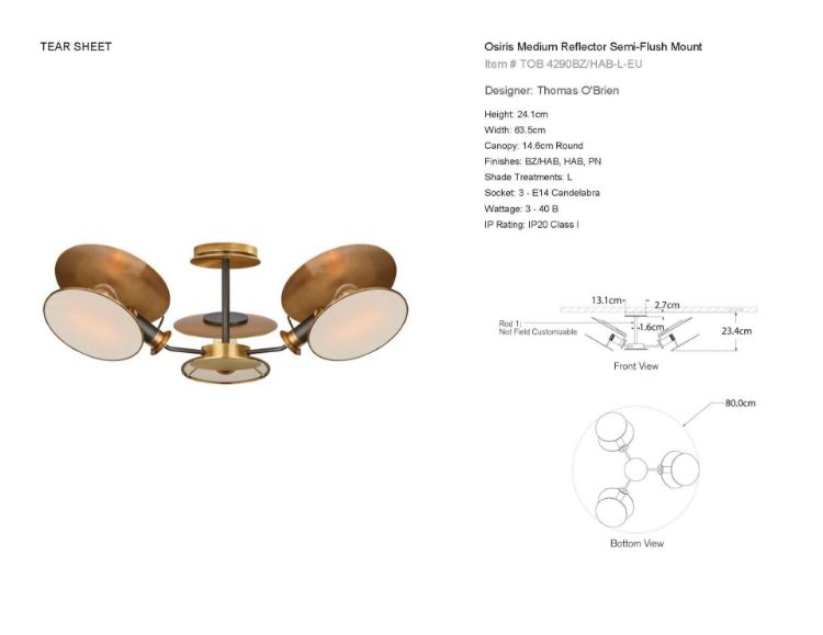 Picture of Osiris Medium Reflector Semi-Flush Mount in Bronze with Antique Brass